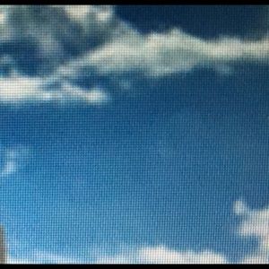 Meet your Posher, Tami